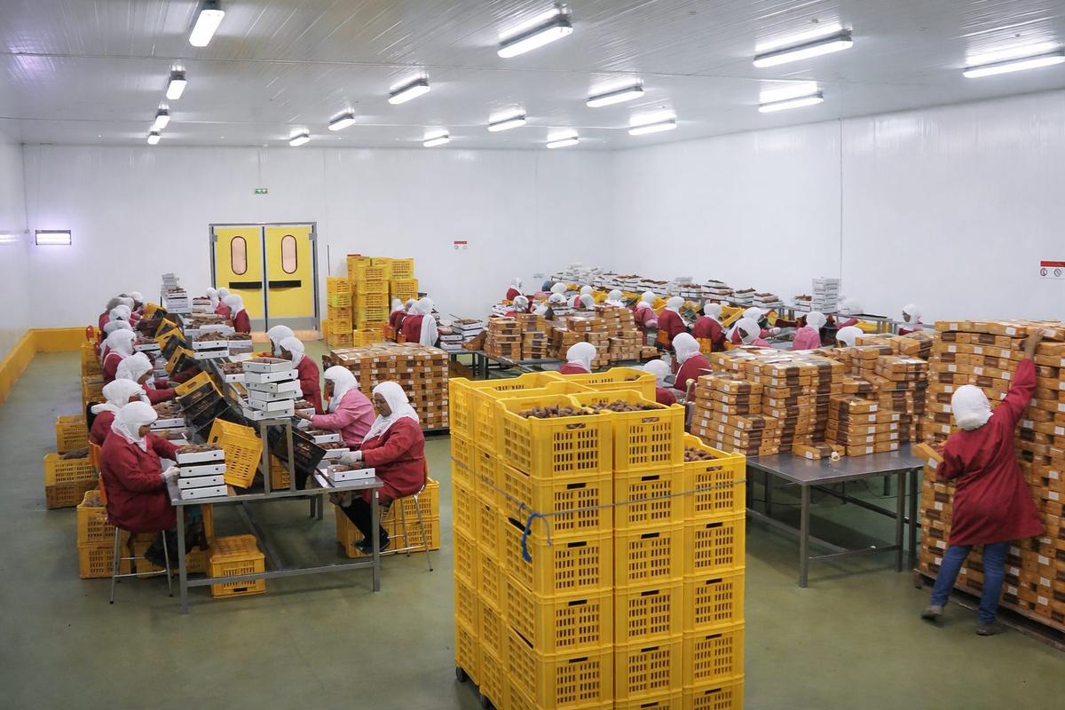 OASIS DU SUD Processing Facility – Unit I