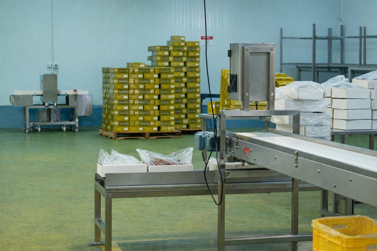 Packing line with metal detector